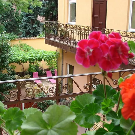 Hostel Transylvania